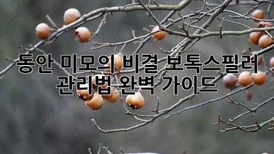 동안 미모의 비결? 보톡스필러 관리법 완벽 가이드 ✨