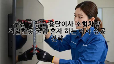 부산 기장군 용달이사 소형차량 저렴한곳 꿀팁! 혼자 하는 이사 성공 전략 ✨